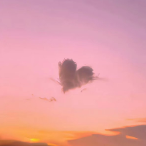 初中女生裸体视频软件网站入口
