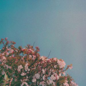 初中女生裸体视频软件网站入口
