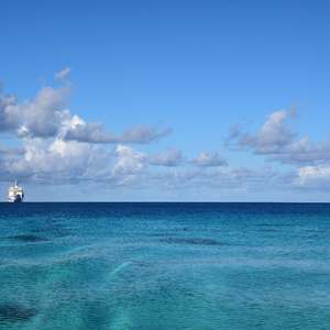 初中女生裸体视频软件网站入口
